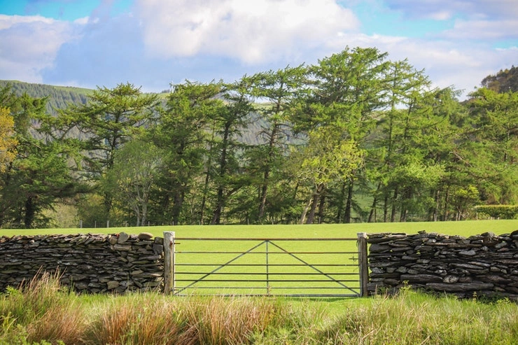 5 Ways to update your colorbond fence - australiamf.com.au