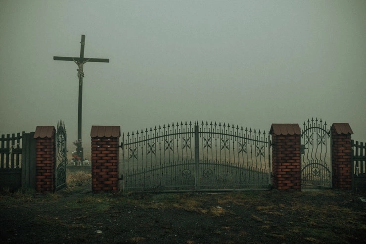 5 Ways to update your colorbond fence - australiamf.com.au